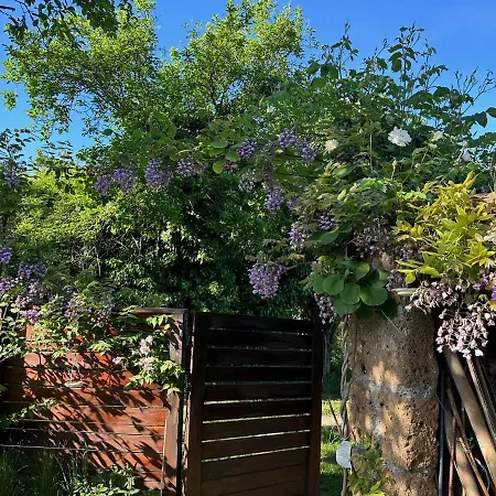 Villa La Casa Di Zoe-Artandtravel Montefiascone Esterno foto