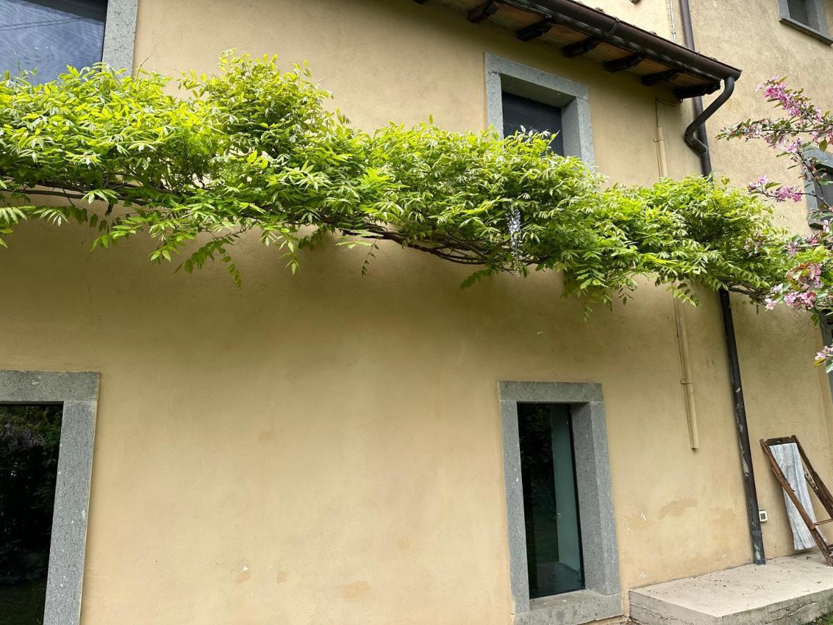 La Casa Di Zoe-artandtravel Montefiascone