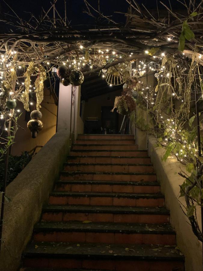La Casa Di Zoe-artandtravel Montefiascone