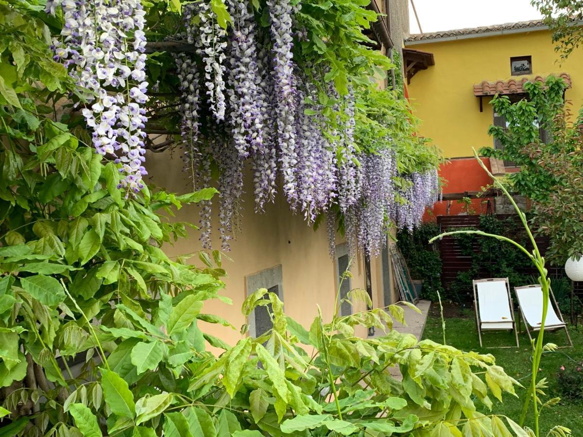 La Casa Di Zoe-artandtravel Holiday home *